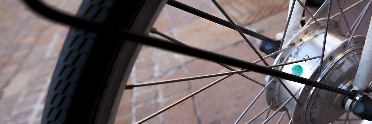 Close-up of a bicycle wheel.