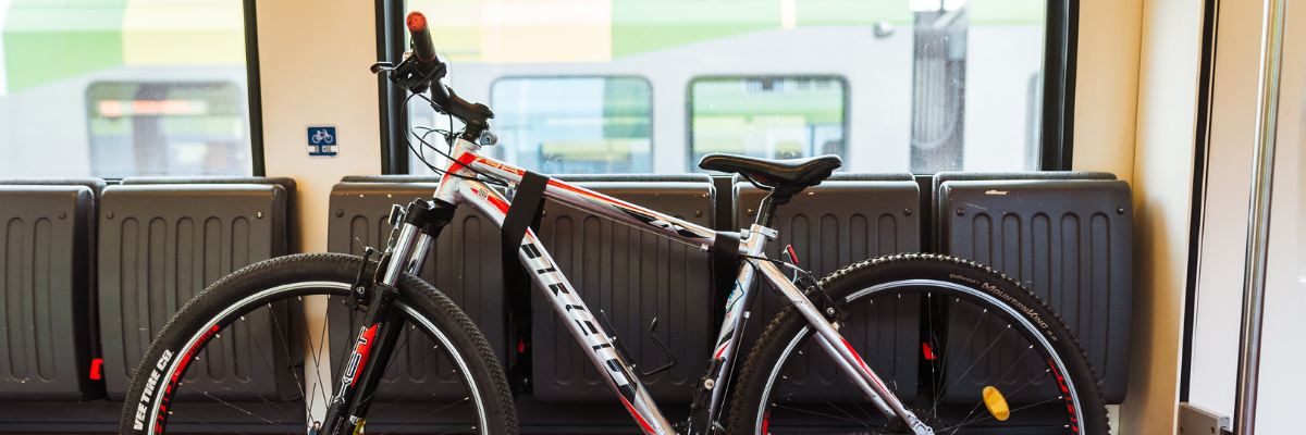 Bike in the train