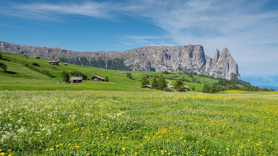 Alpine meadows around the Sciliar/Schlern